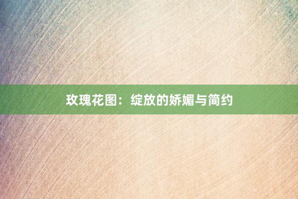 玫瑰花图:绽放的娇媚与简约