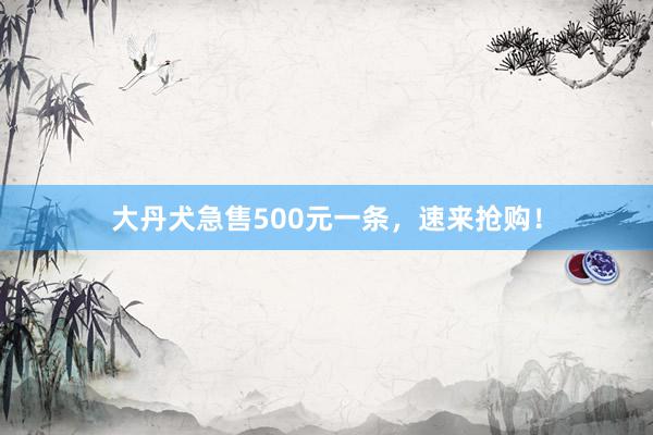 大丹犬急售500元一条，速来抢购！
