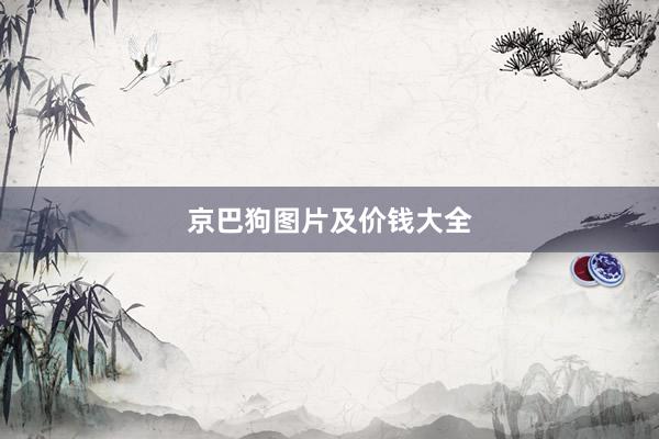 京巴狗图片及价钱大全