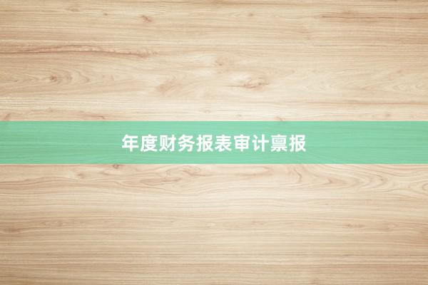 年度财务报表审计禀报